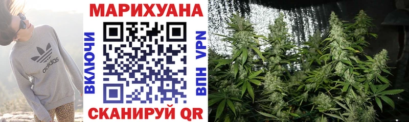 Канабис сатива  Кумертау 